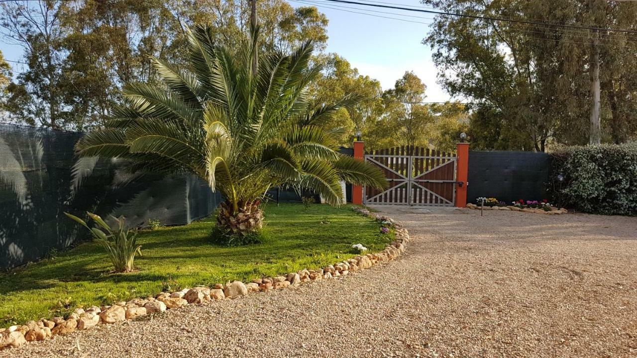 Guesthouse Pintadera Santa Maria la Palma Eksteriør bilde